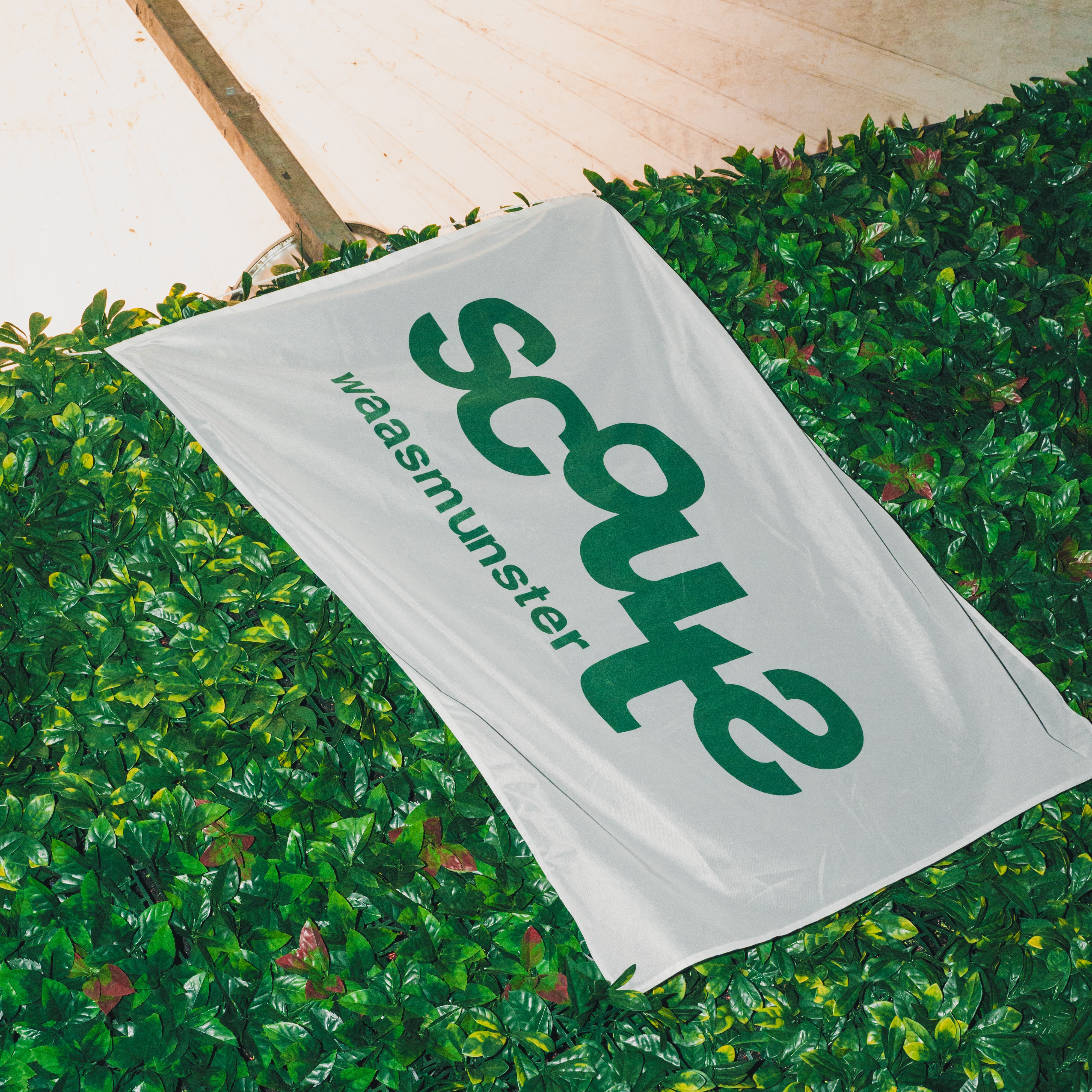 Afbeelding van de groepsleidingleiding